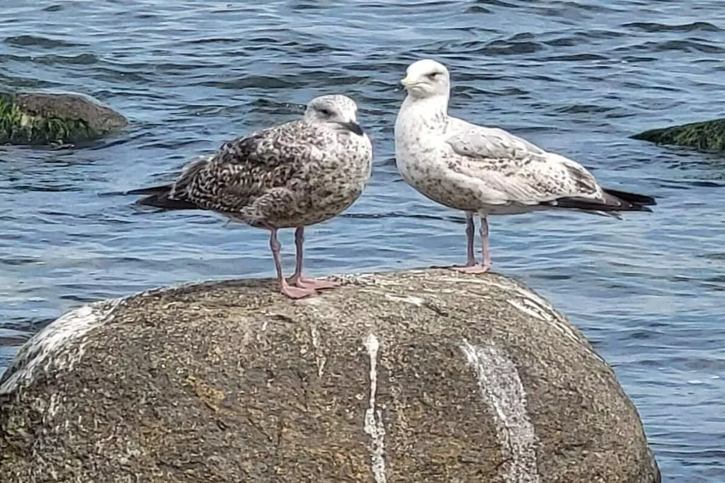 453458-Nicht zugeordnet