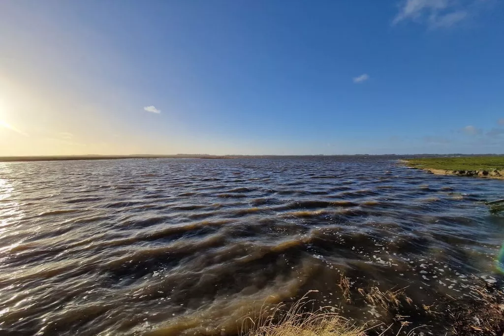 485583-Nicht zugeordnet