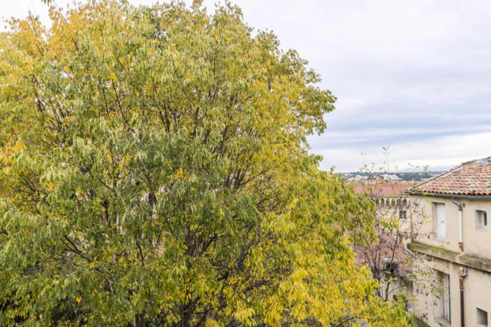 Appartements à Montpellier-Vue d'été