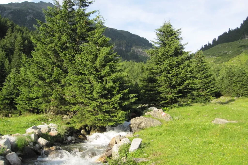 57495-Nicht zugeordnet