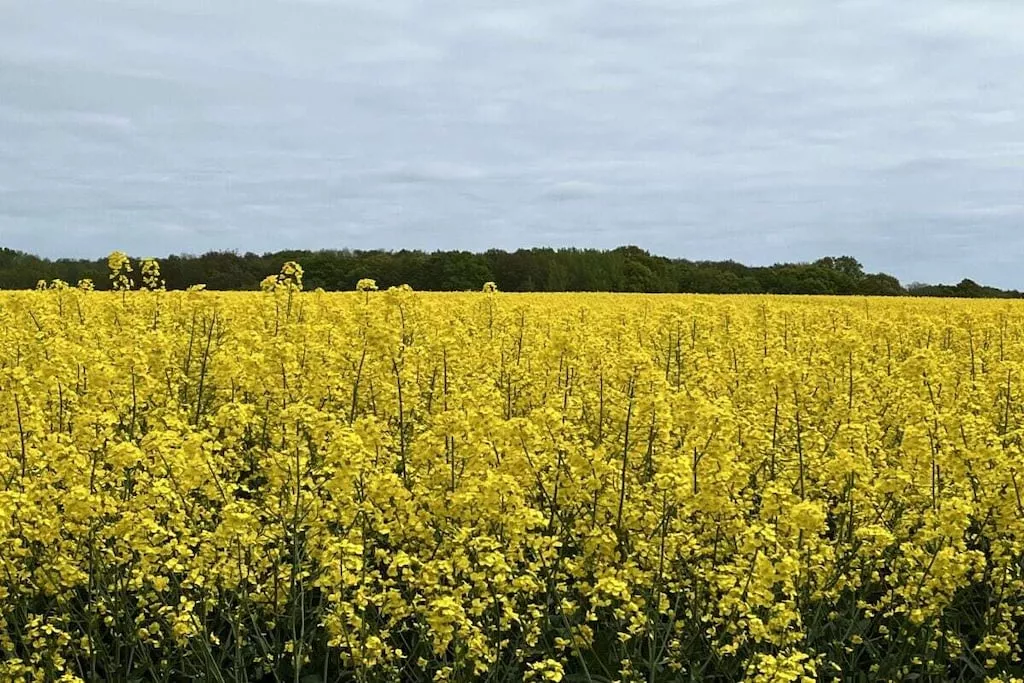 453458-Nicht zugeordnet