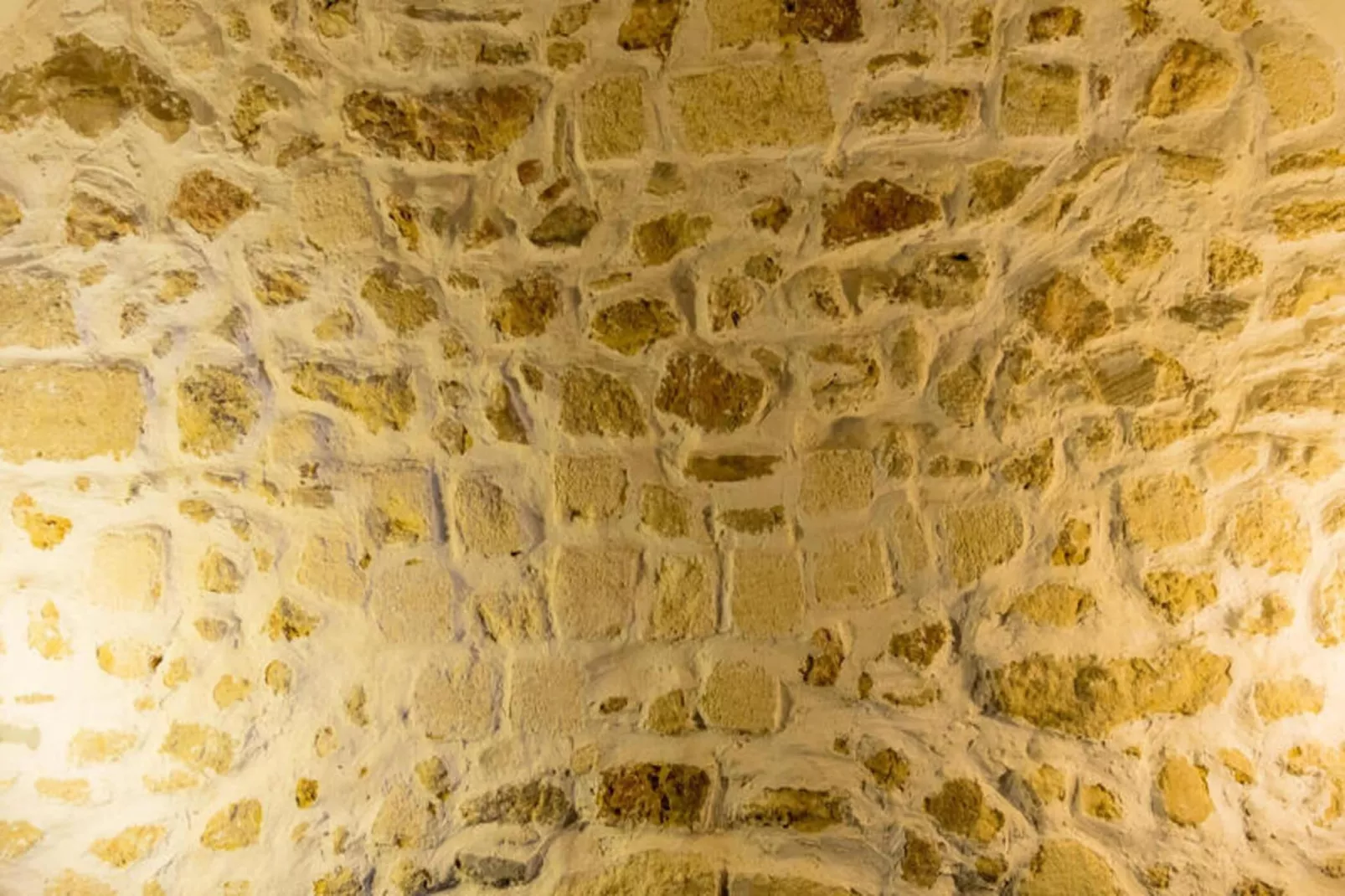 Appartements à Montpellier-Ambiance