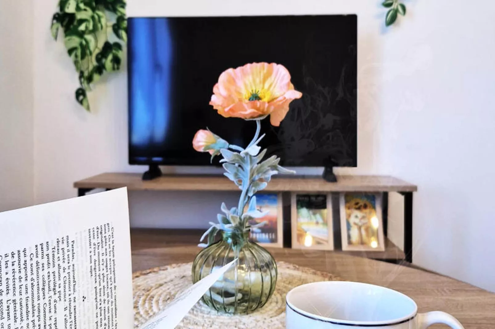 Studio à Toulouse-Ambiente