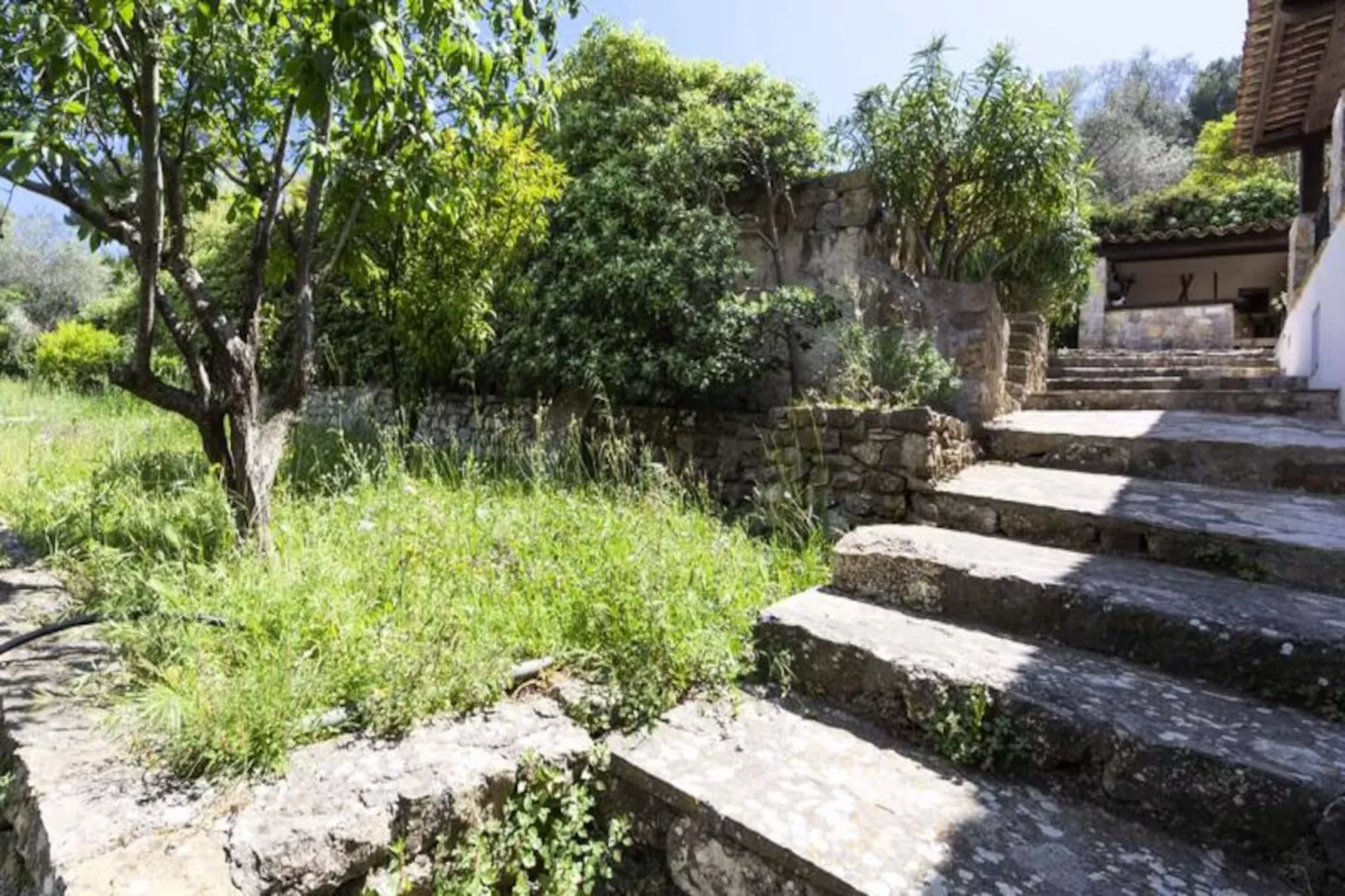 Résidence Grande Villa Proven&ccedil;ale Piscine Dans Un &eacute;crin De Verdure ❤live In Cannes❤-Image-tags.