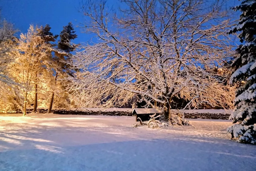 637762-Nicht zugeordnet