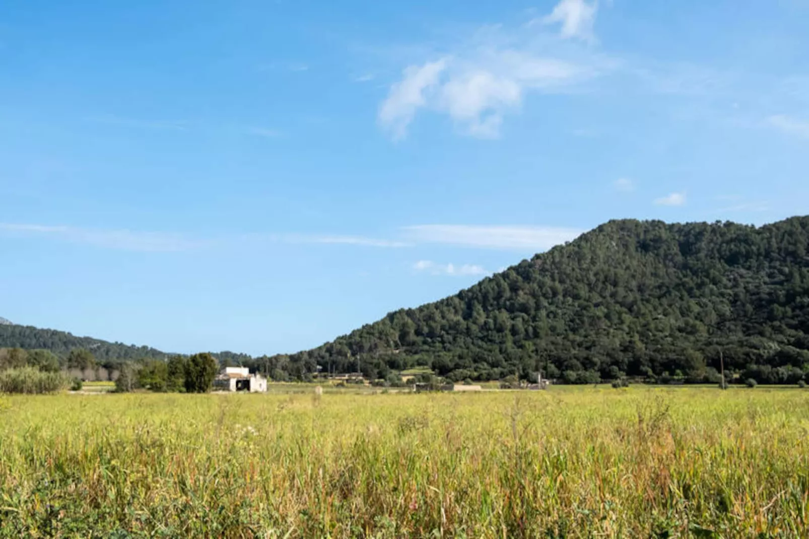 Maison à Sa Pobla-Image-tags.