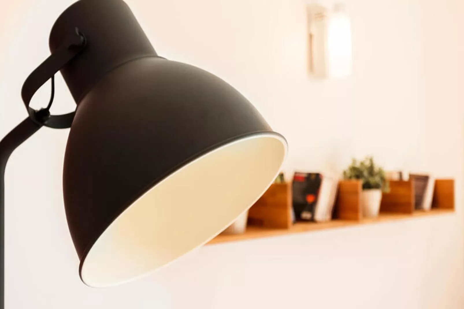 Appartements à Montpellier-Ambiance