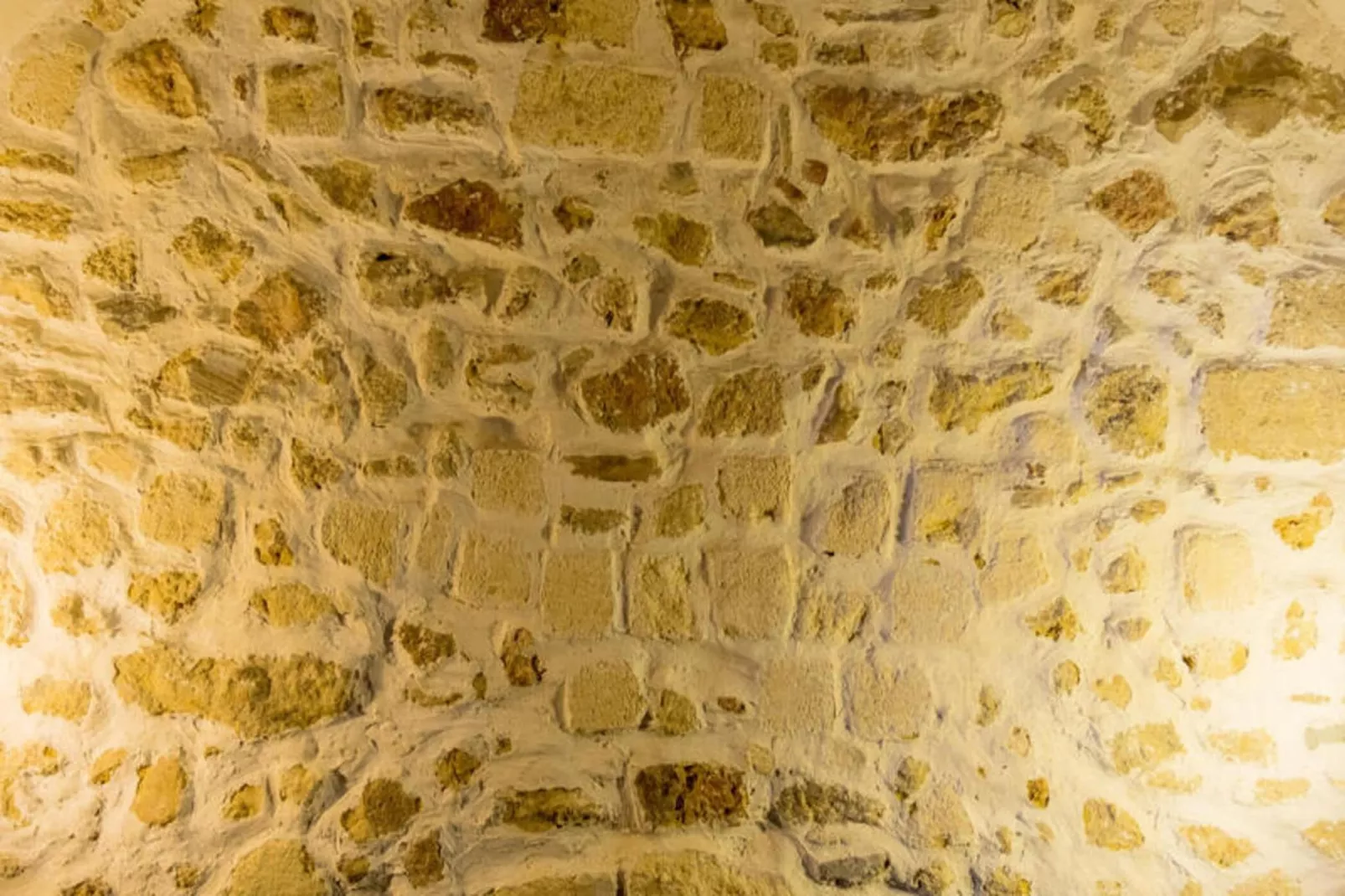 Appartements à Montpellier-Ambiance