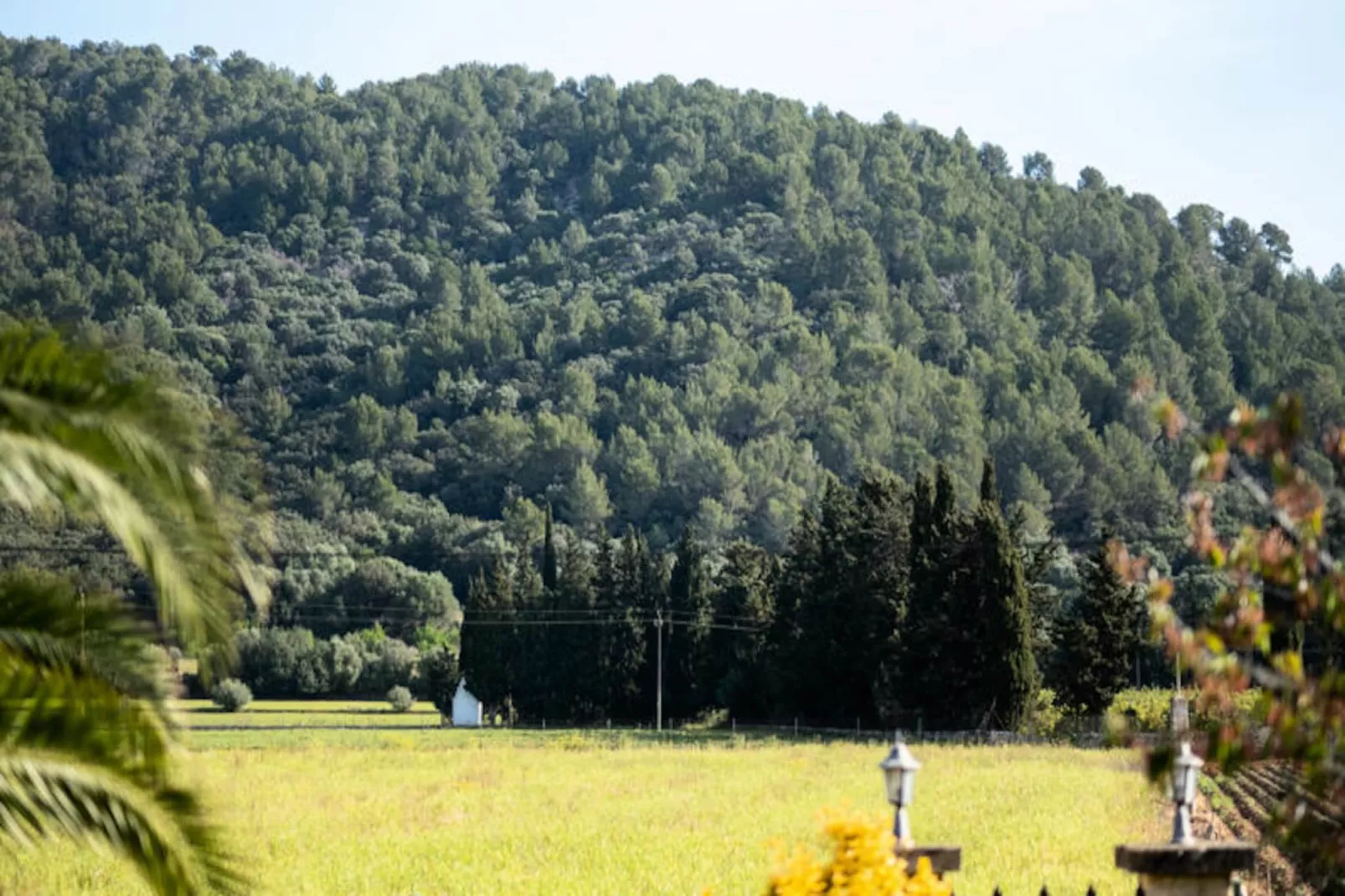 Maison à Sa Pobla-Image-tags.