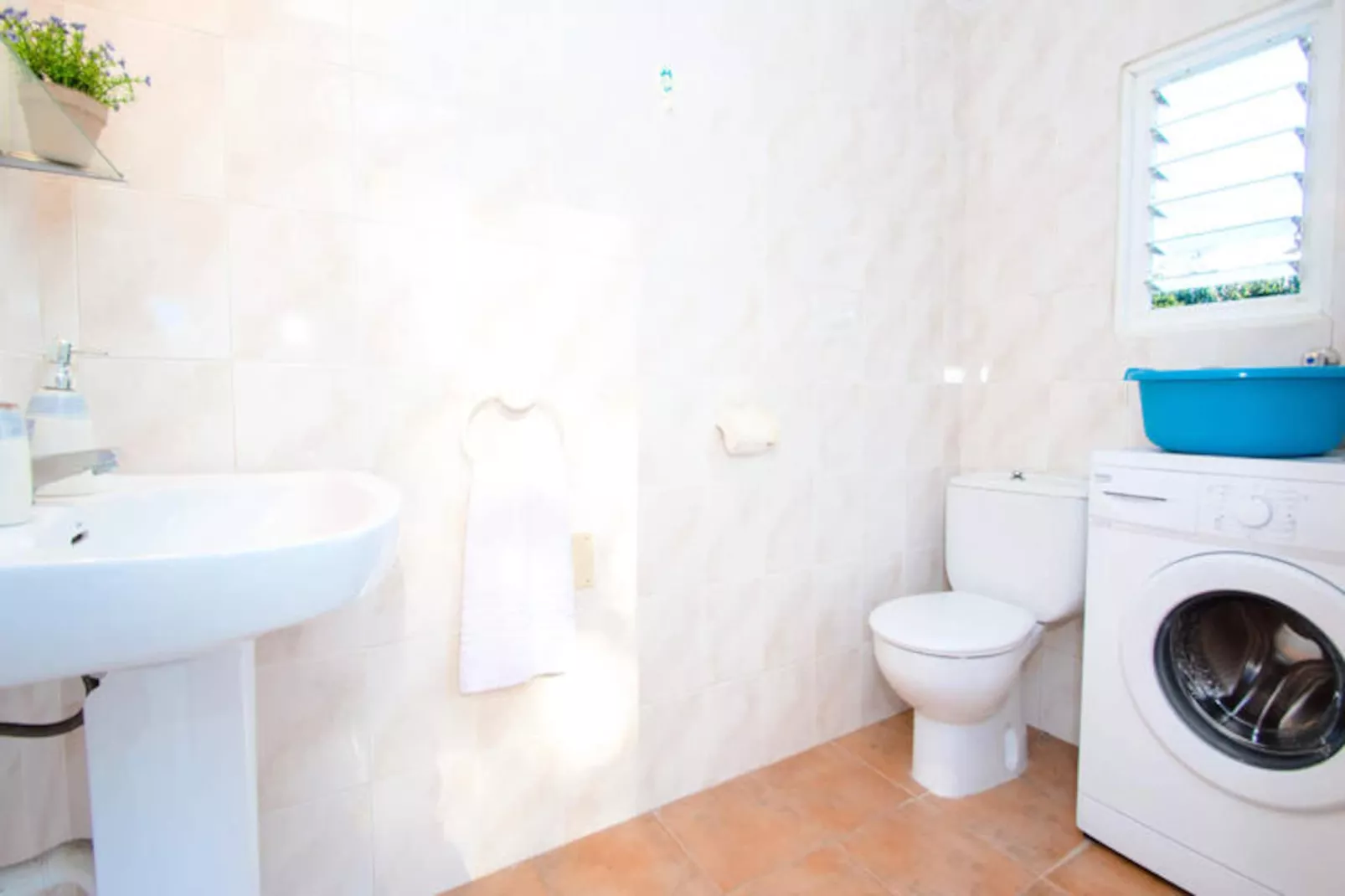 Maison à Cala Galdana-Image-tags.