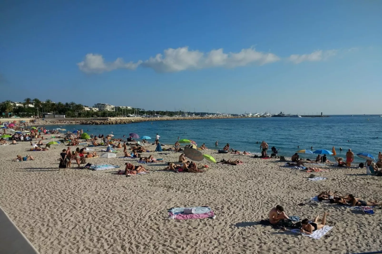 Résidence Le Verdi-Areas within 5km in summer