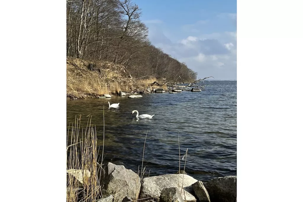 453458-Nicht zugeordnet