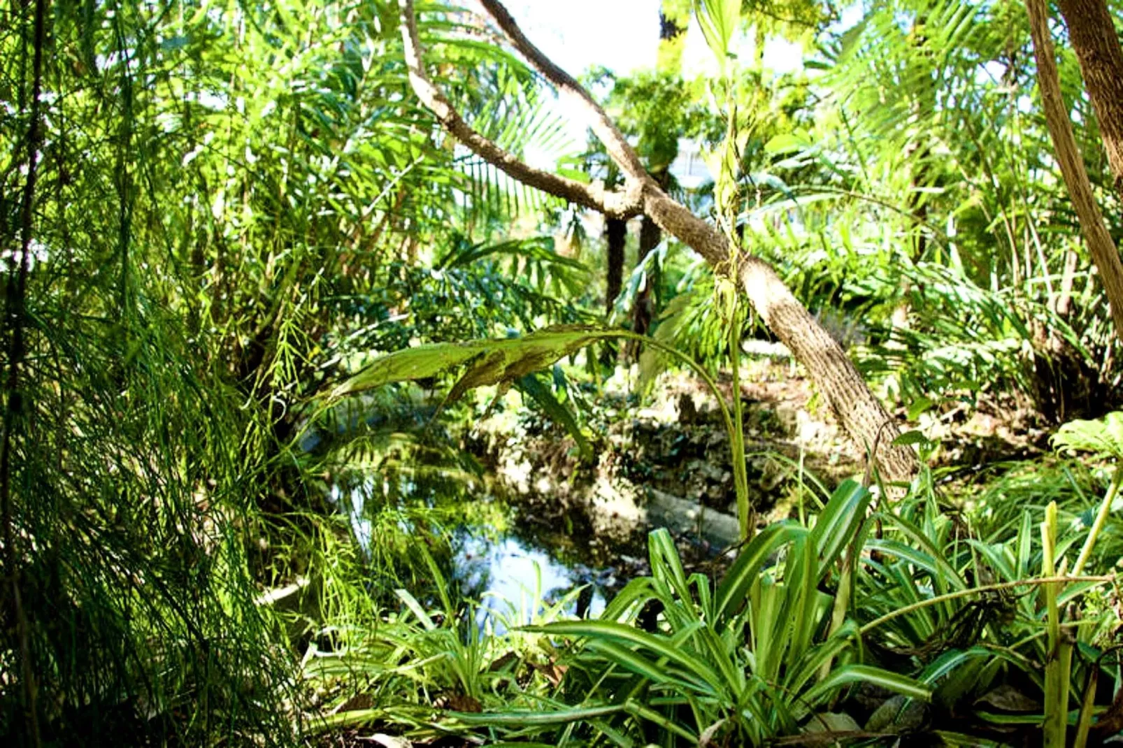 Résidence We &hearts; Cannes !  R&eacute;sidence Gallia , Appartement 2 Chambres Haut De Gamme-Ambiente