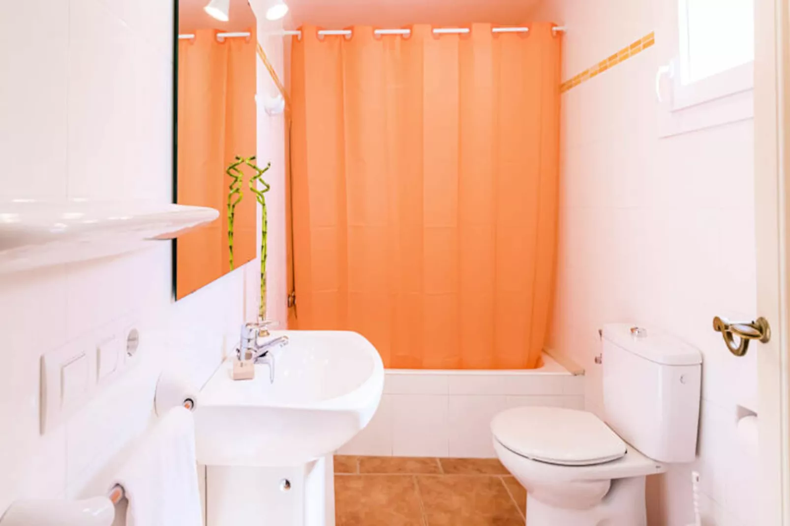 Maison à Son Bou-Image-tags.