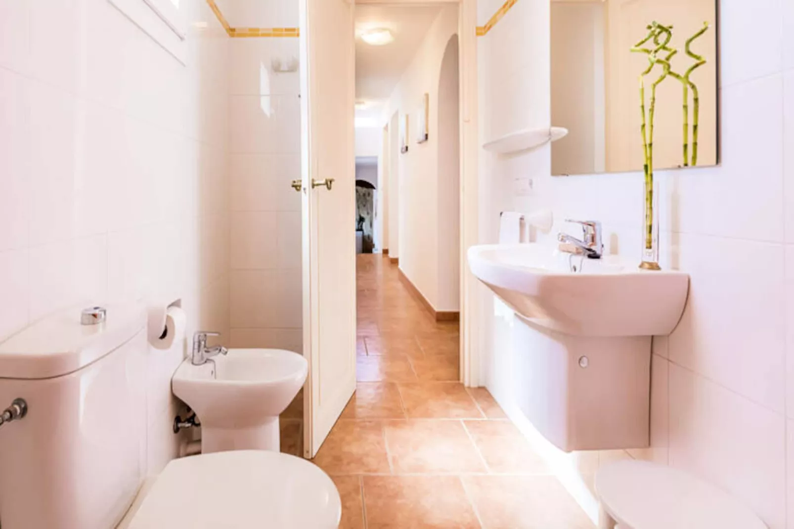 Maison à Son Bou-Image-tags.