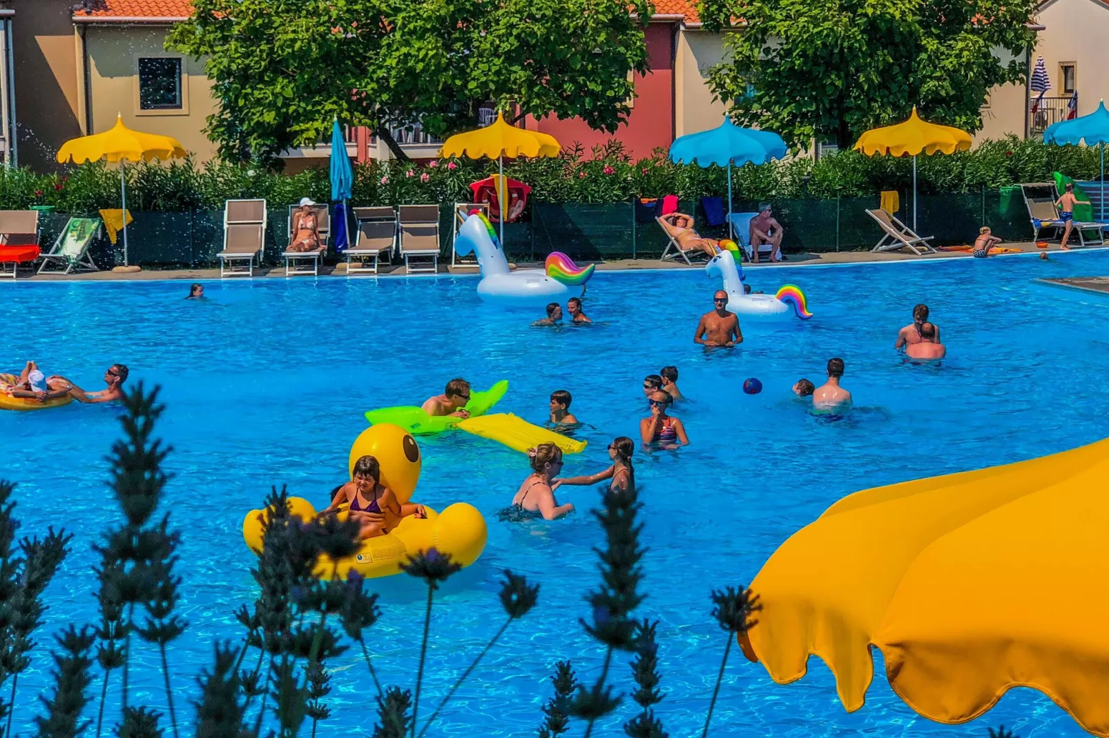 Residence Belvedere Village Castelnuovo del Garda-trilocale Std-Schwimmbad