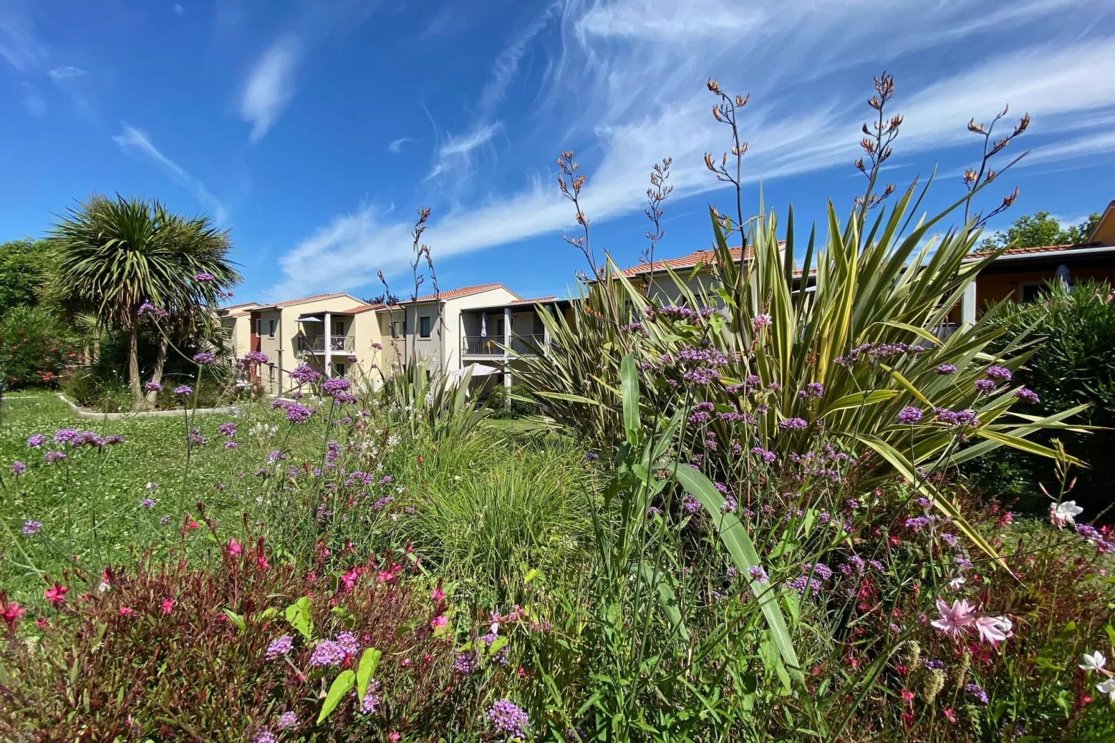 Residence Belvedere Village Castelnuovo del Garda-trilocale Std-Außenbereich Sommer