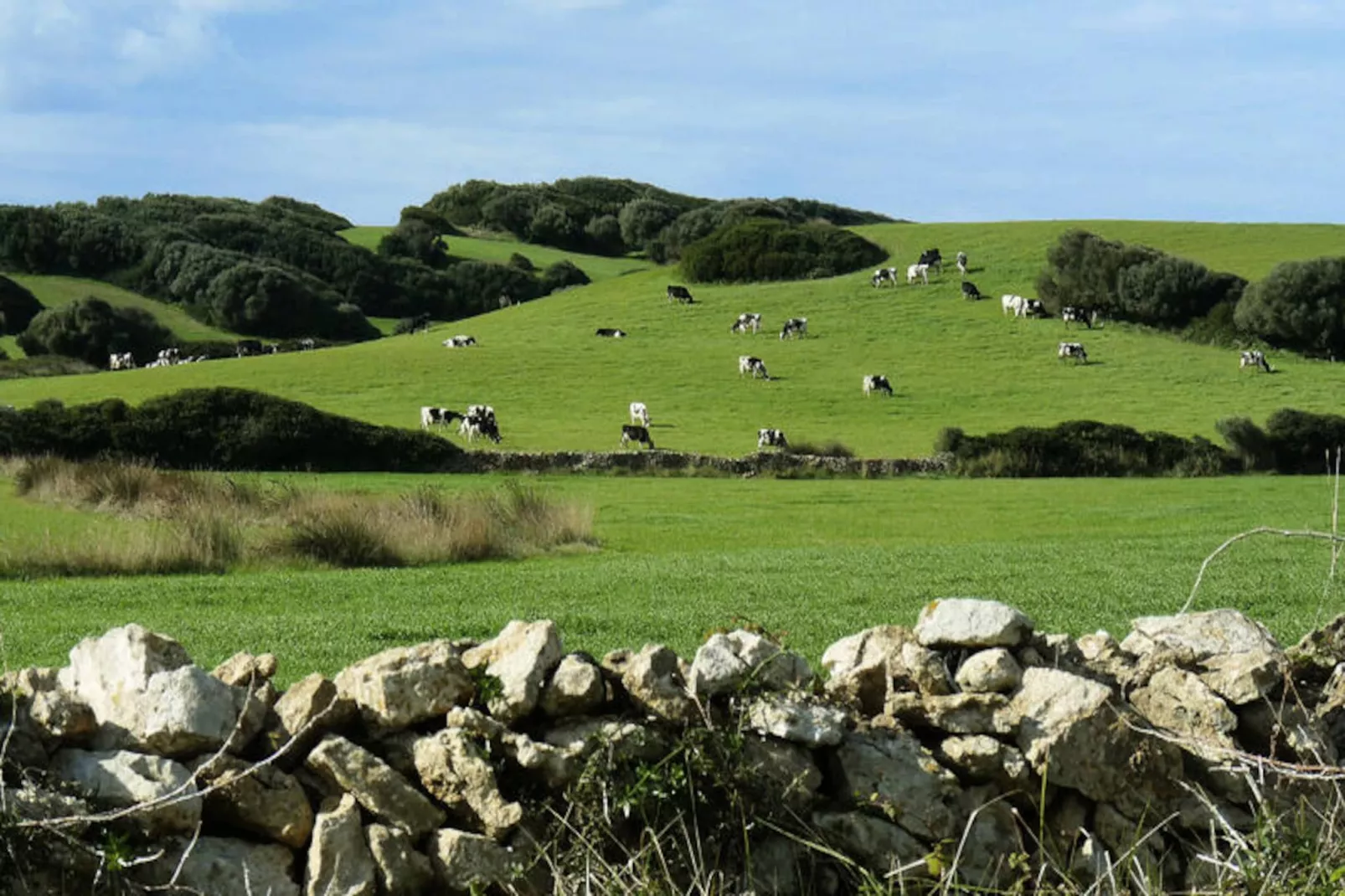 Appartements à Cala Galdana-Image-tags.
