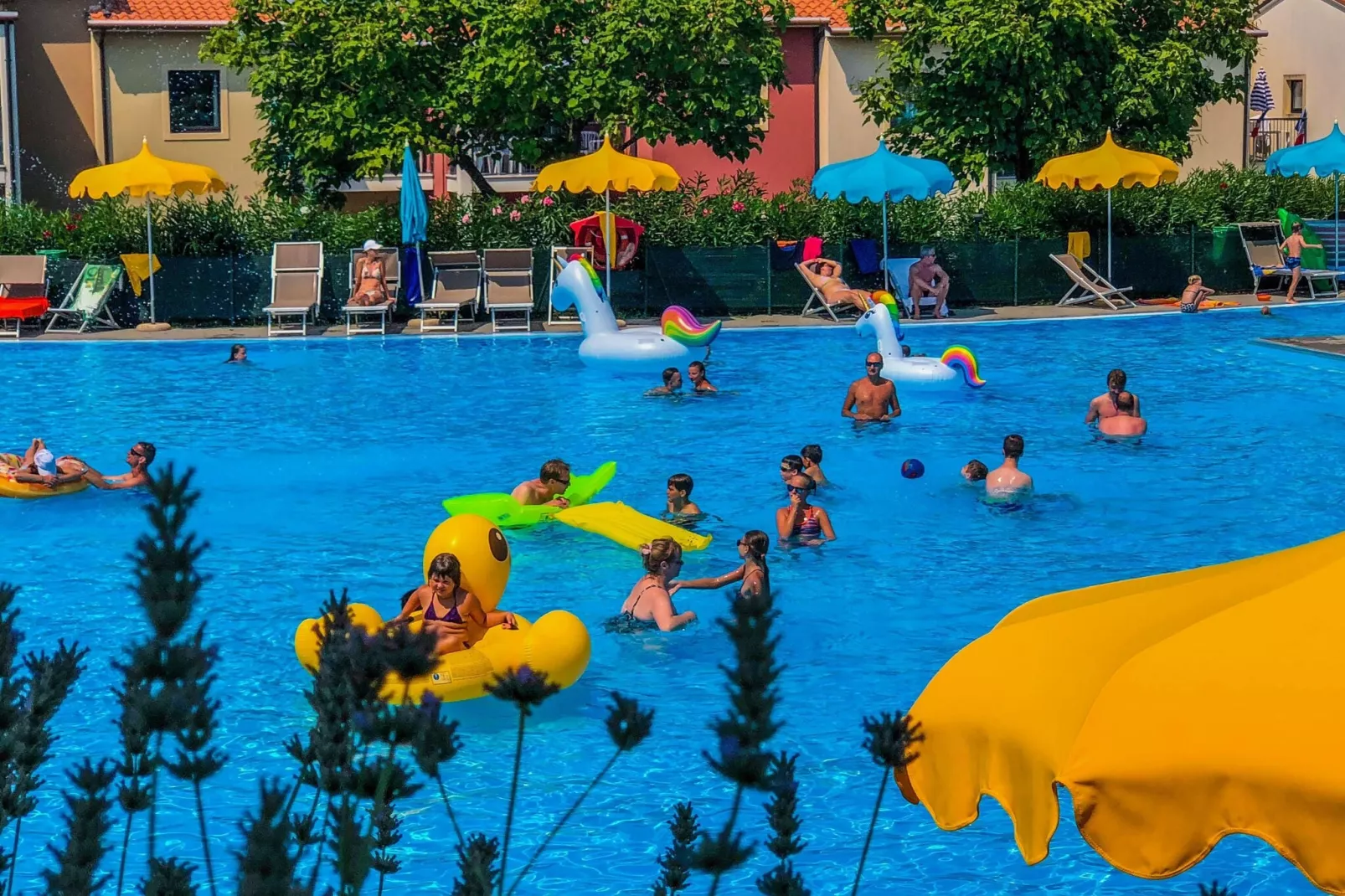 Residence Belvedere Village Castelnuovo del Garda-Trilo superior-Piscine