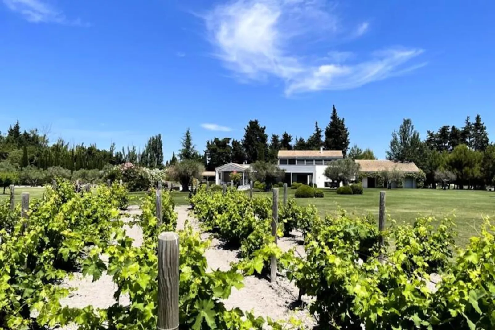 Mas De Pani&egrave;re - Saint Remy De Provence-Image-tags.