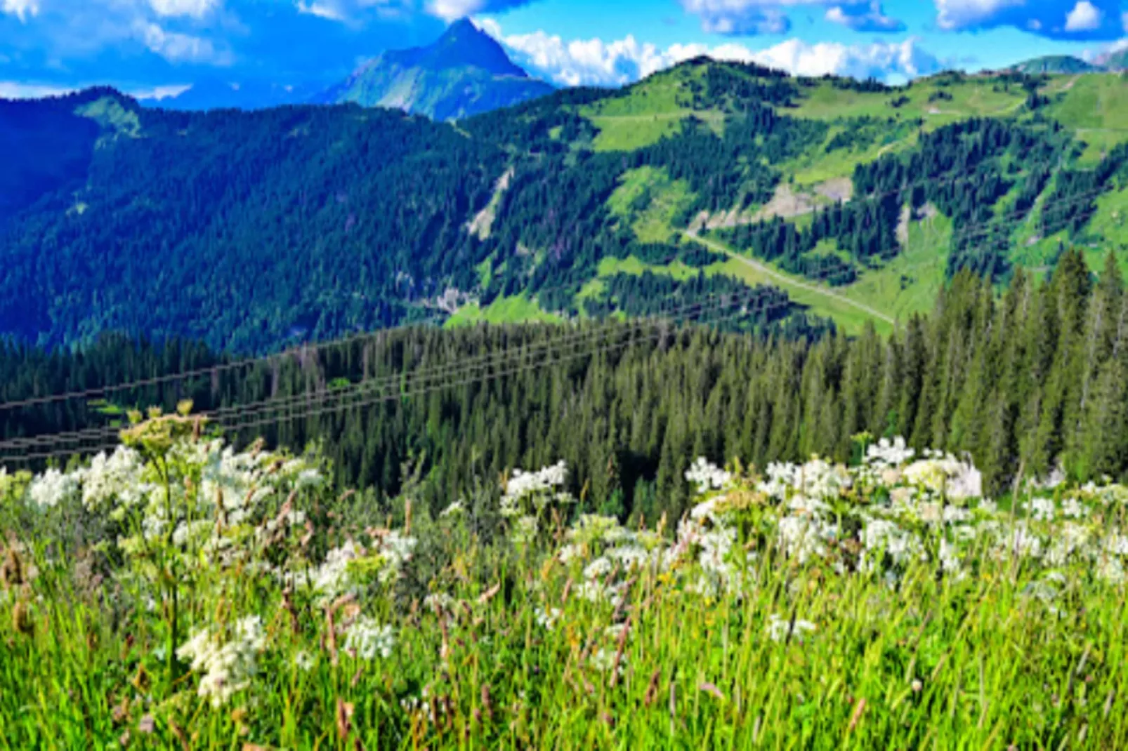 Résidence Arietis - Atria-Crozats - maeva Home