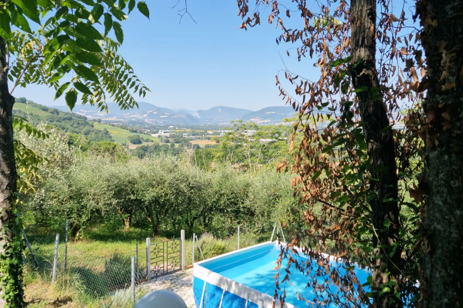 Holiday home dei Pavoni Montemaggiore con Piscina privata-Pool