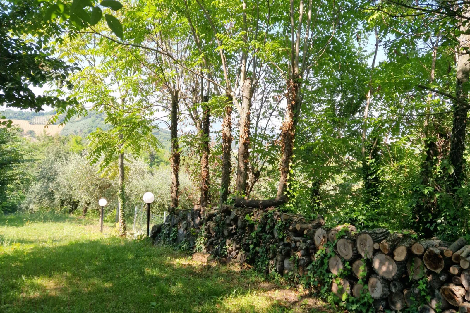 Holiday home dei Pavoni Montemaggiore con Piscina privata-Gardens summer