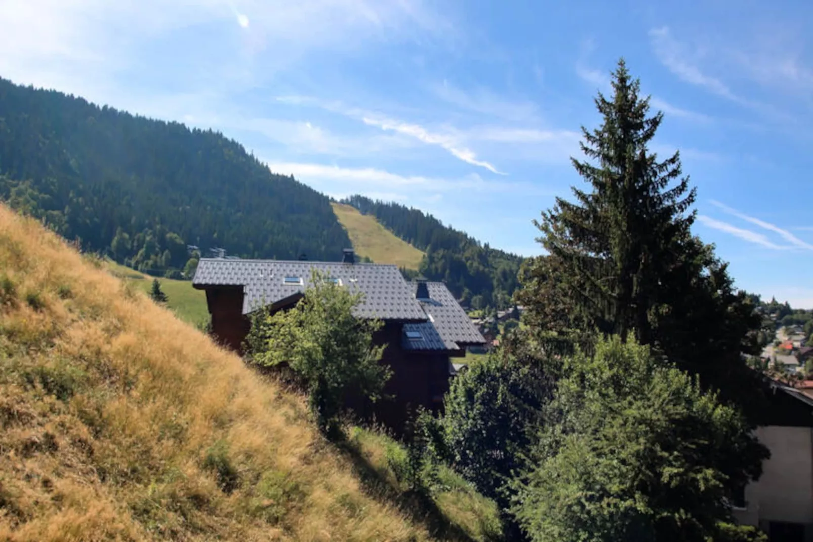 Appartements à Les Carroz-d'Arâches