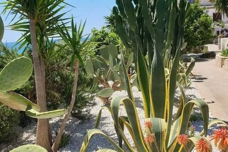 Apartments, Castelvetrano-Trilo Antica Sicilia-Gardens summer
