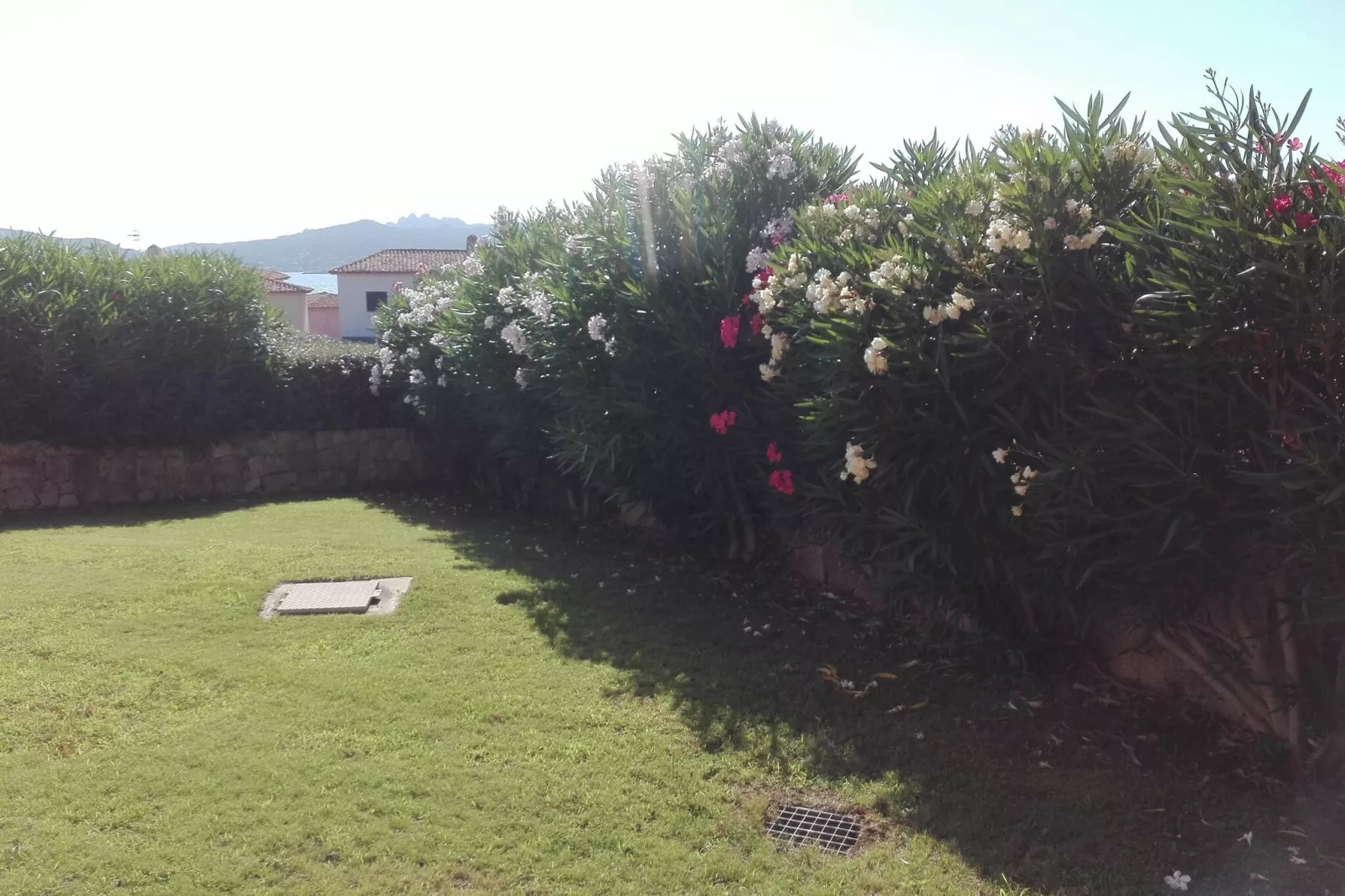 Holiday home, La Conia Cannigione-Villa Lu Nibaru Low 2-Gardens summer