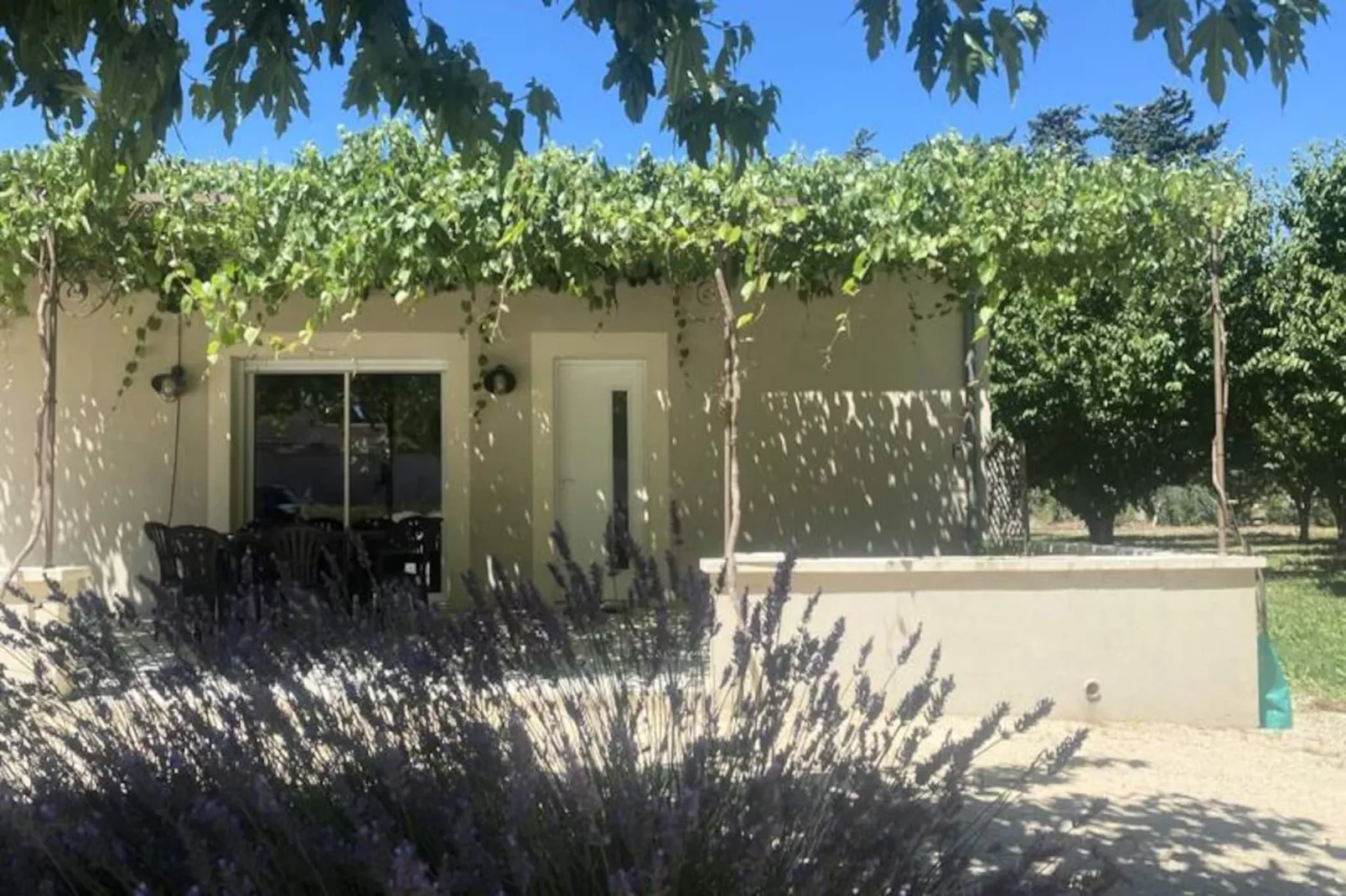 Le Ribbou - Isle-sur-la-sorgue