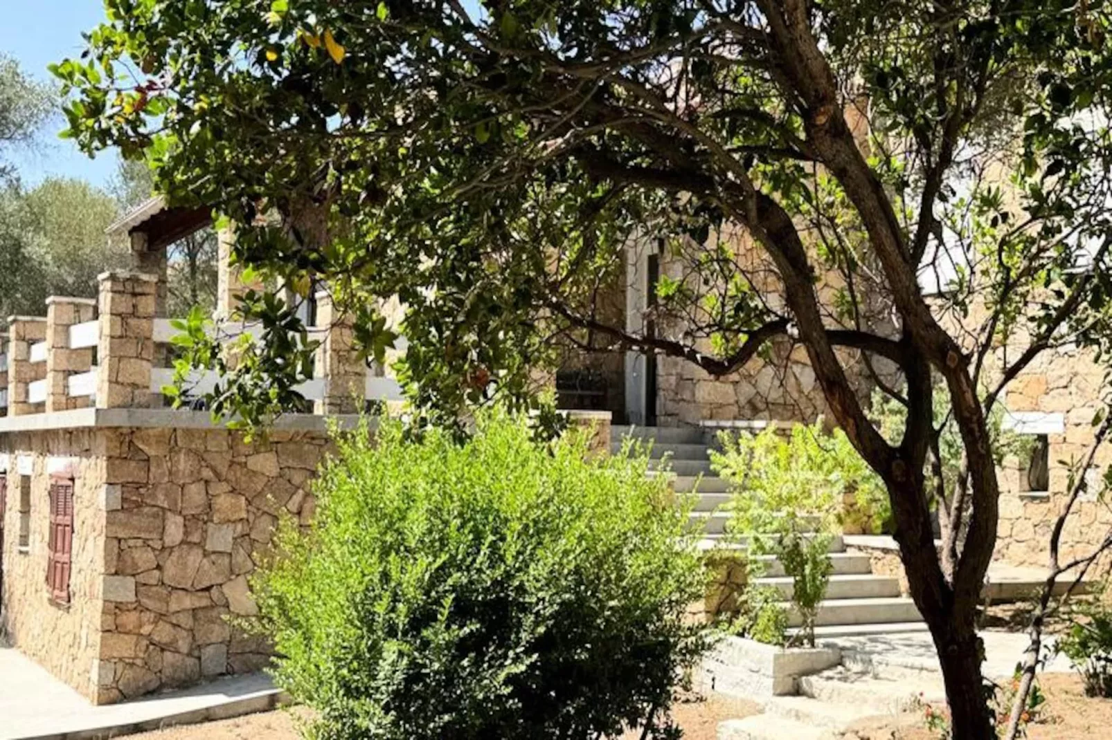 Résidence Tomc001-olmeto