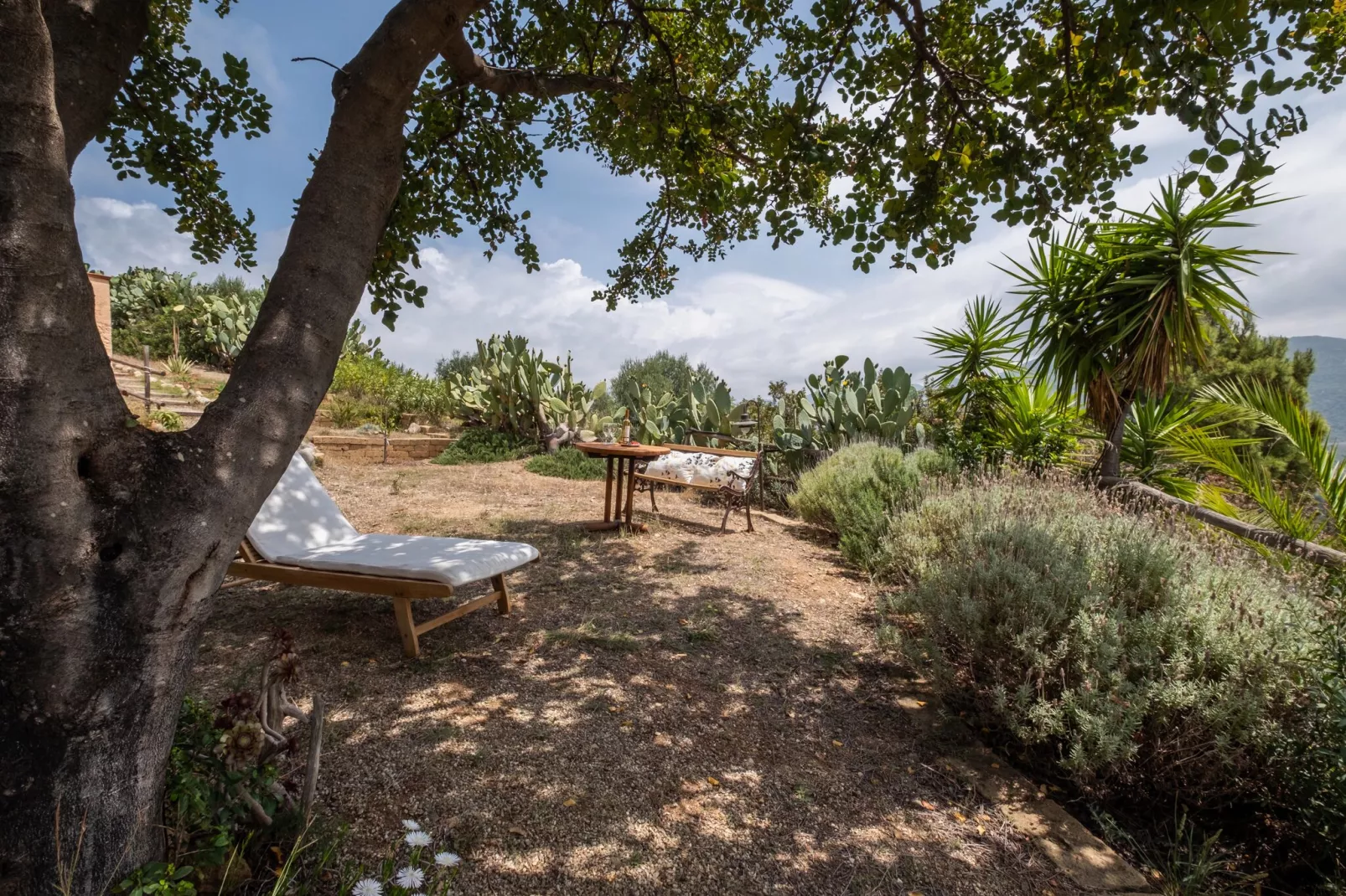 Villa del Mare Dipinto-Gardens summer