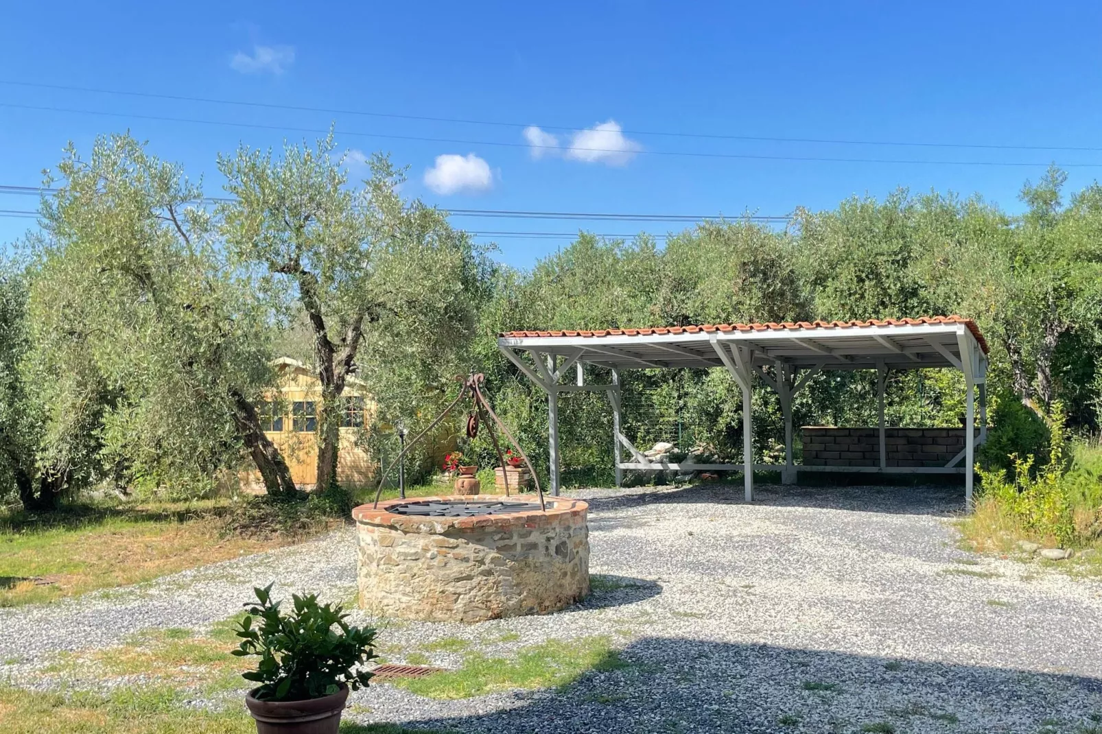 Villa Rose-Garten Sommer
