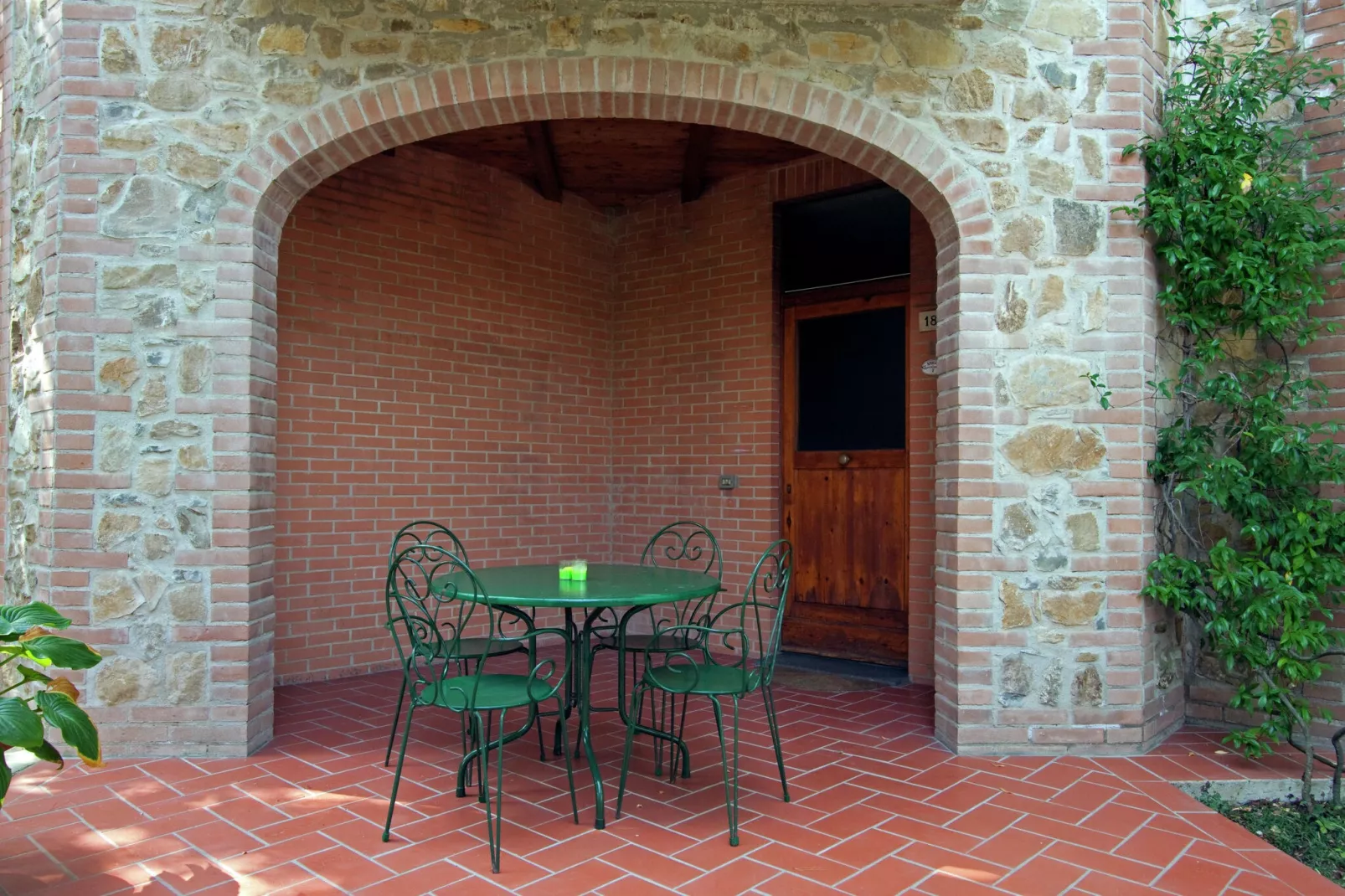 Olivo-Exterior summer