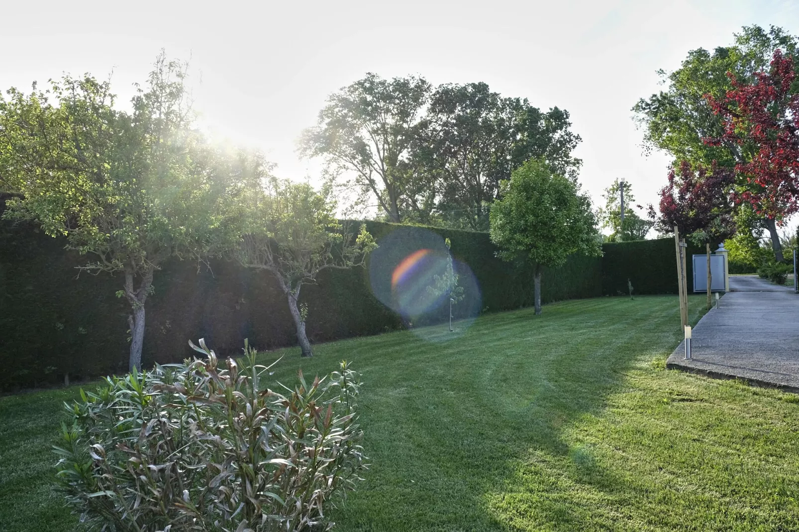 Casa Campagnola Due-Landing