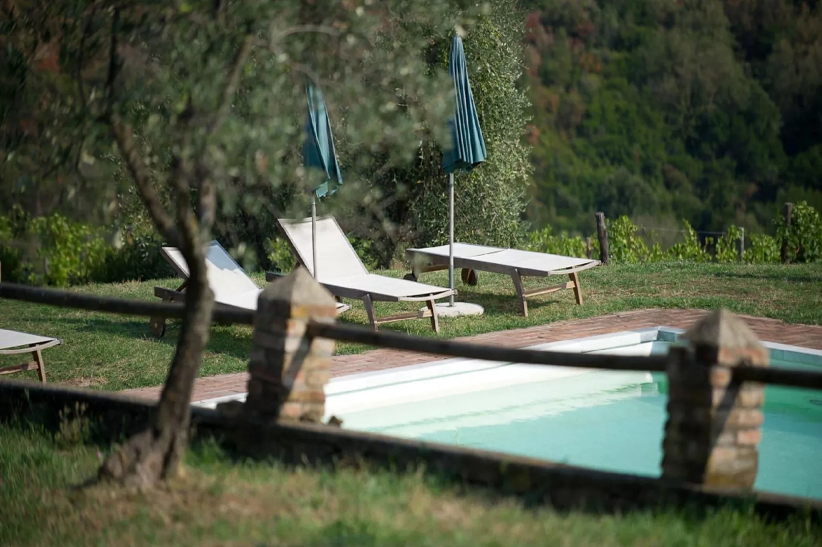 Istrice-Pool