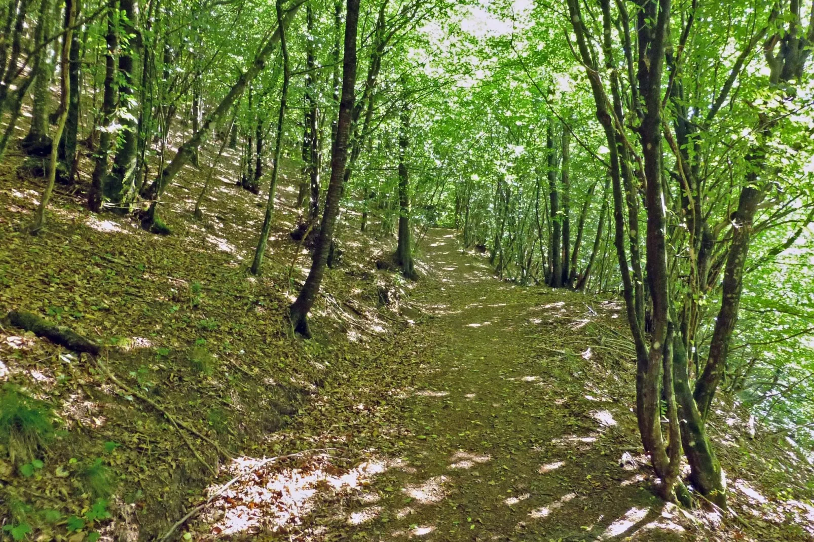 Insieme in Panche-Areas summer 1km