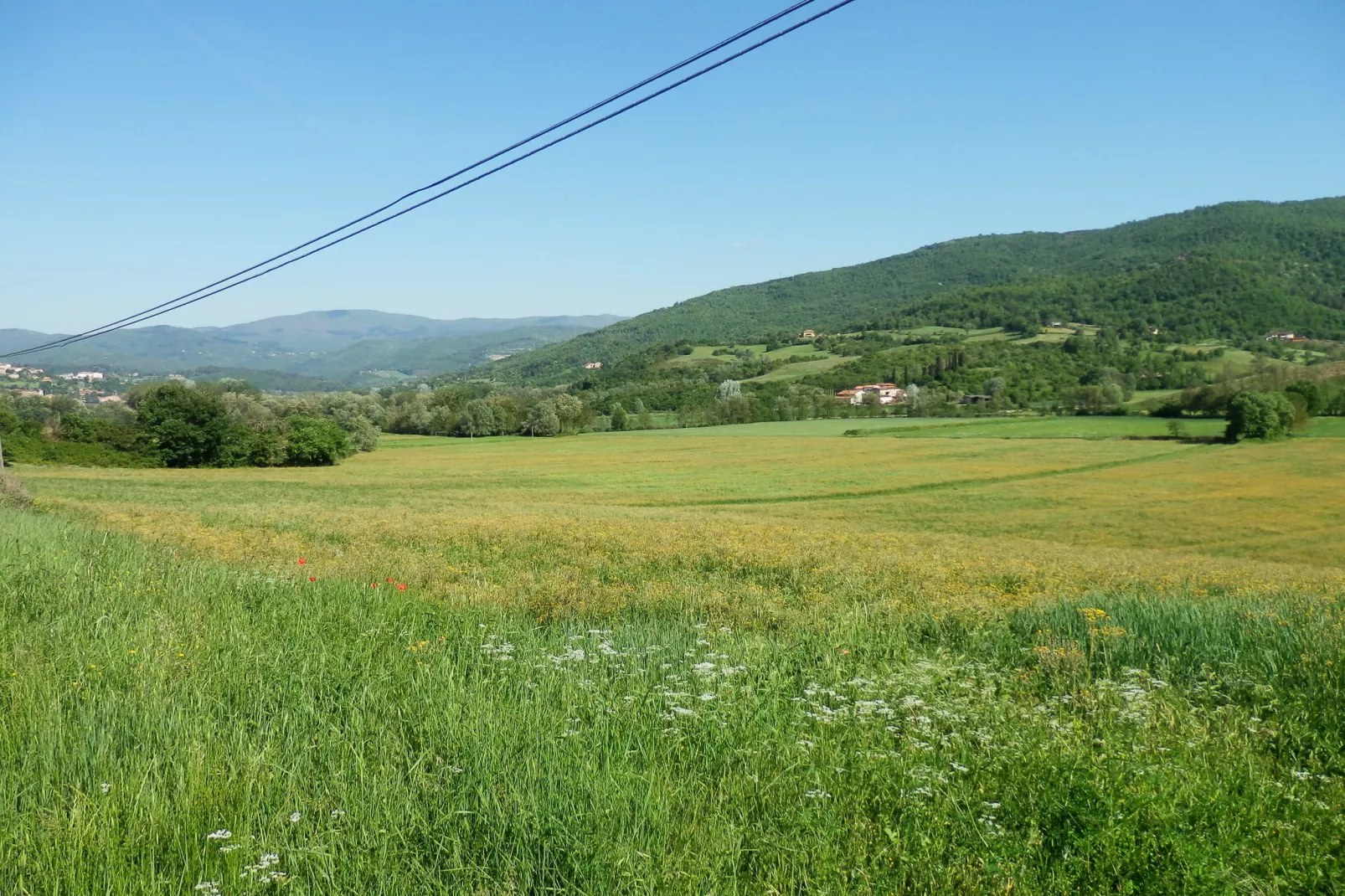 Nonno Raoul-View summer