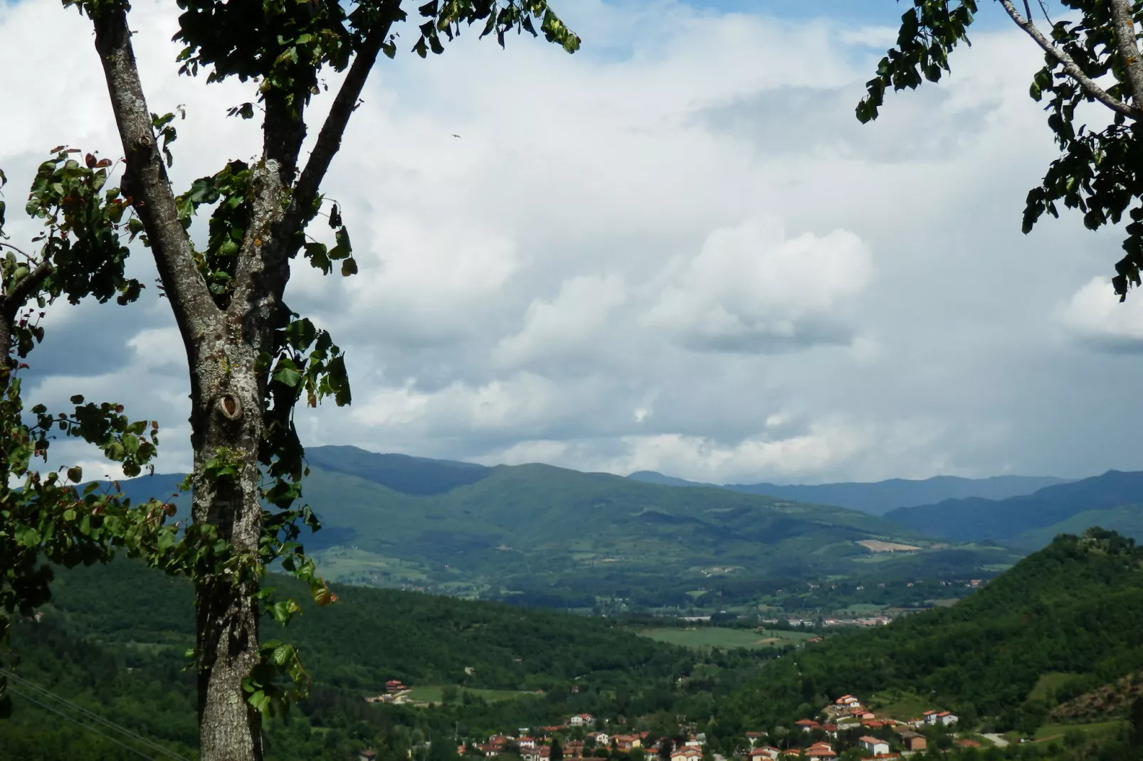 Nonno Raoul-View summer