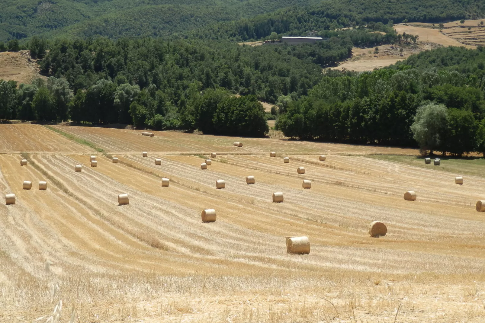 Nonno Raoul-View summer