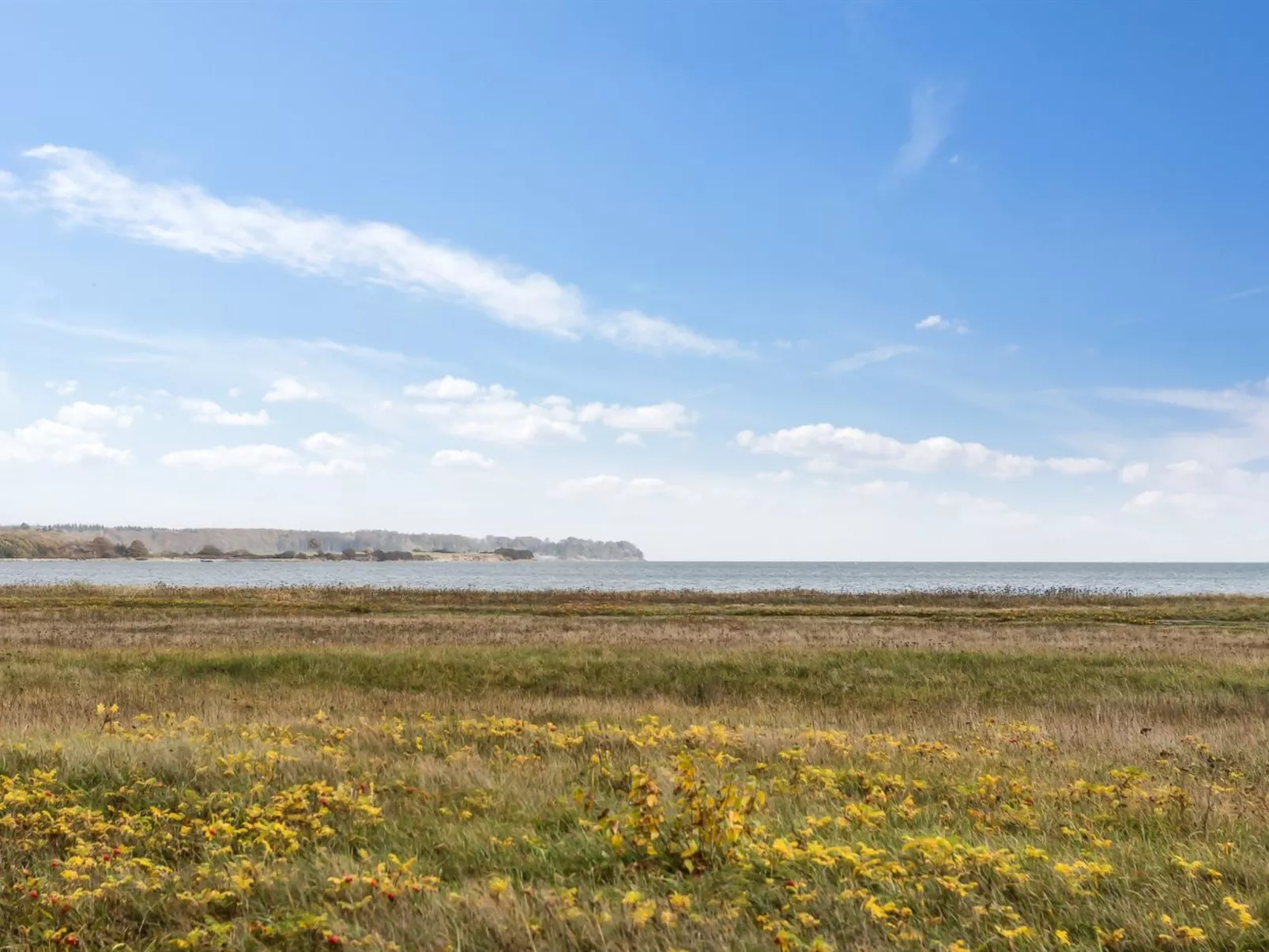 "Yma" - 250m from the sea