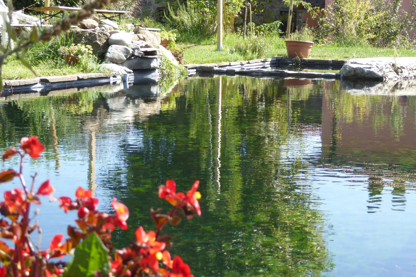 Argilla 4-Pool