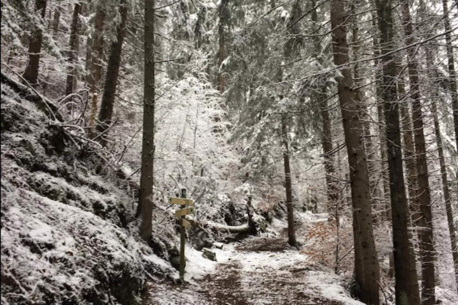 Résidence Les Amethystes B