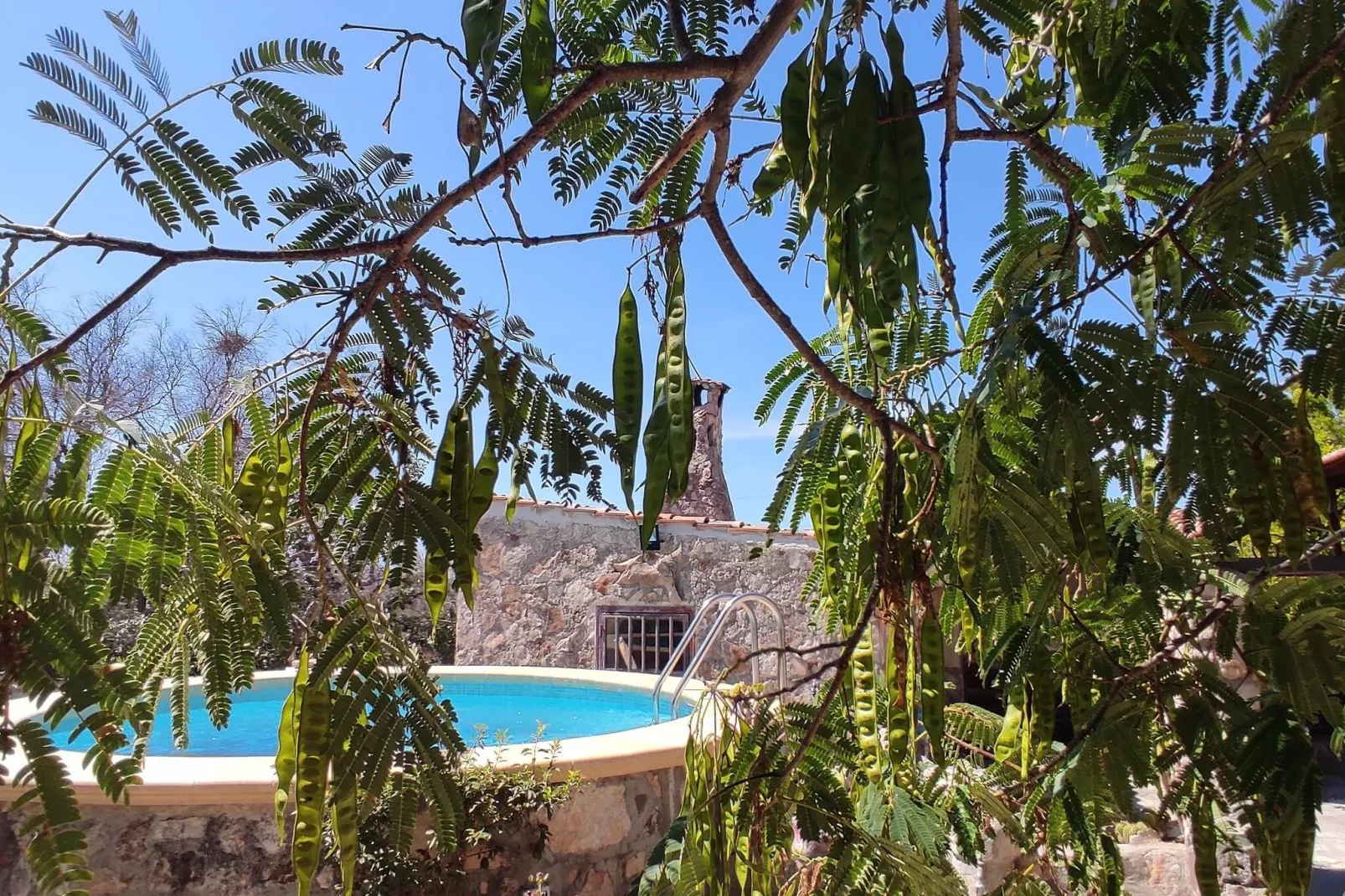 Villa Barone Guest House-Schwimmbad