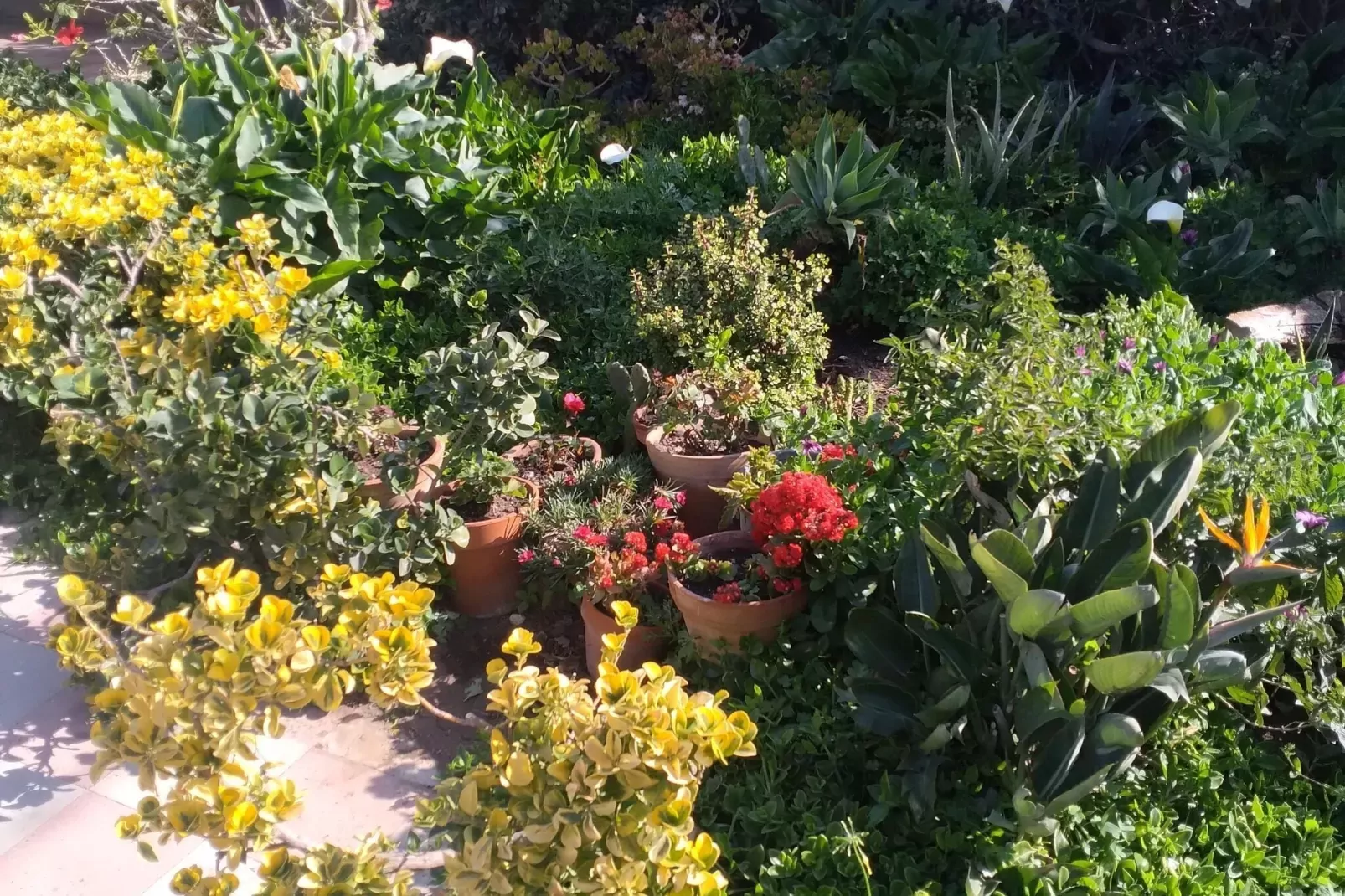 Casa Limoncello Golf-Jardin d'été