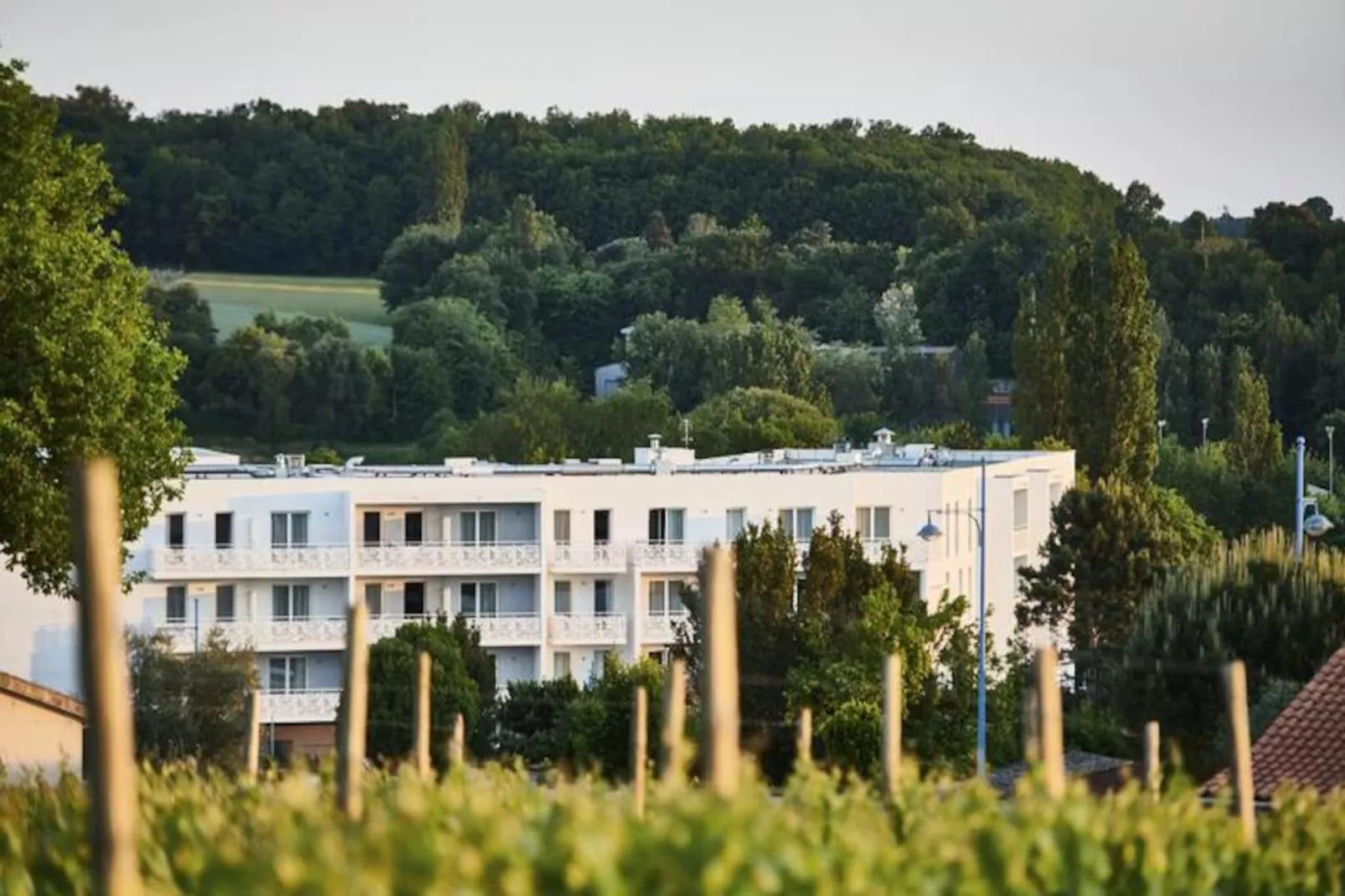 Résidence Les Coteaux de Jonzac **** - Vacances Bleues-Image-tags.