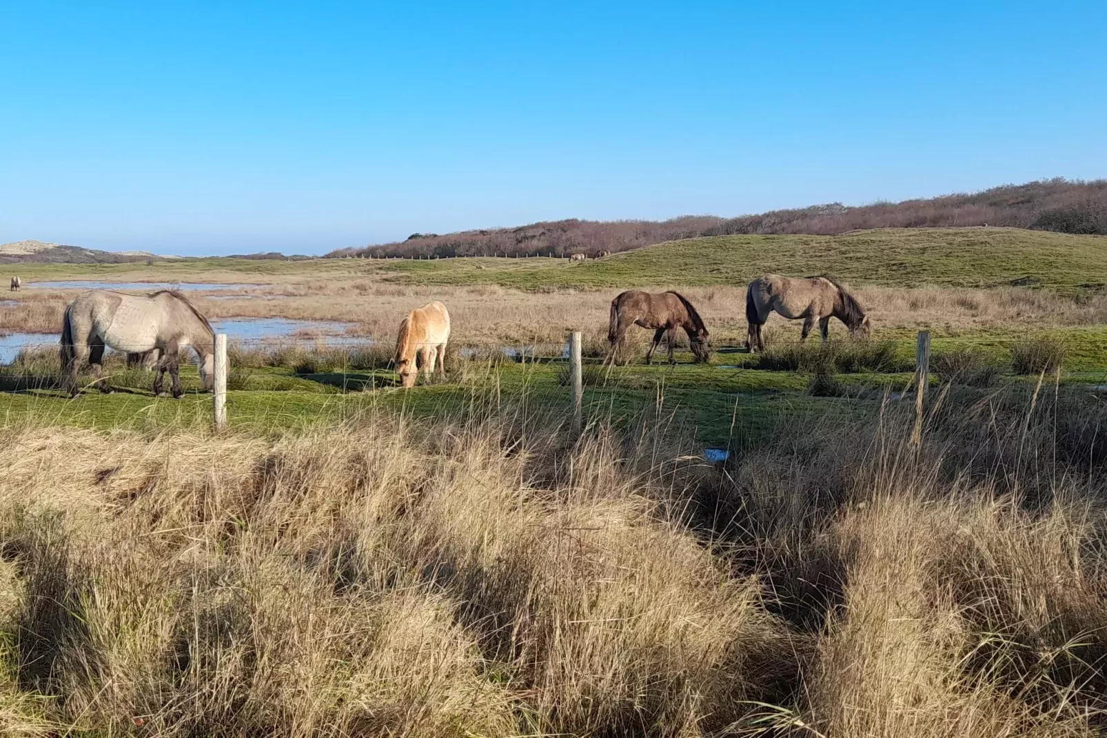 Good Moments Oostkapelle Zeeland-Zones d'été à 1 km