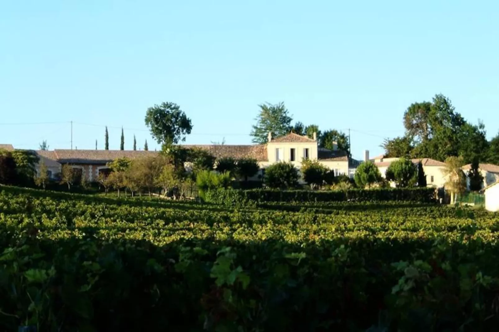 Ch&acirc;teau La Tuili&egrave;re: Villa Avec Piscine Au Milieu De Son Vignoble-Image-tags.