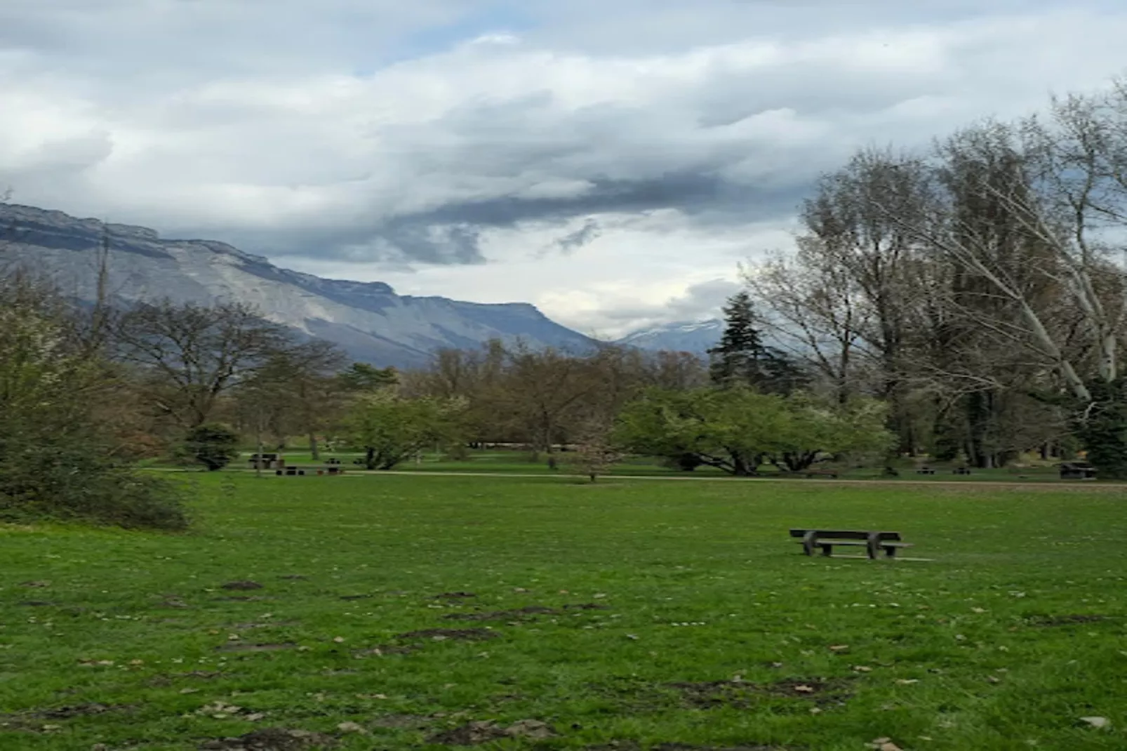 | Vue Sur La Bastille 🚠 Alsace Lorraine| Terrasse-Garten Sommer